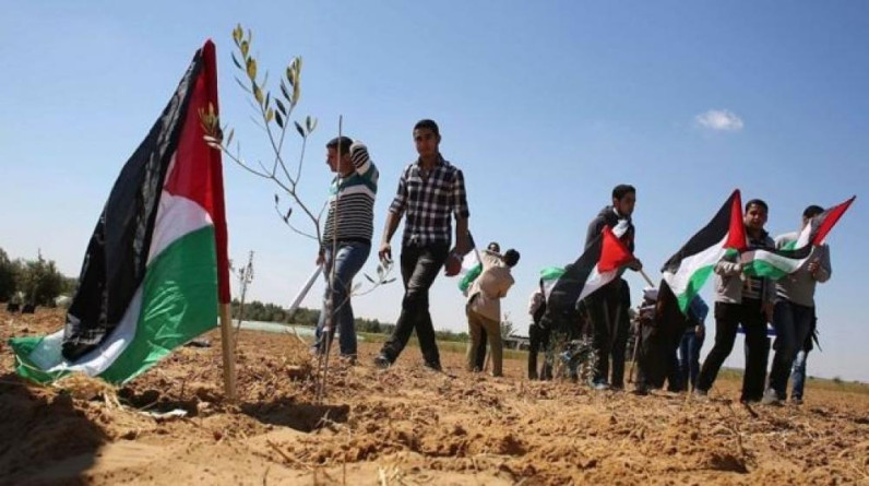 عزات جمال يكتب: في يوم الأرض لا بديل عن كل فلسطين